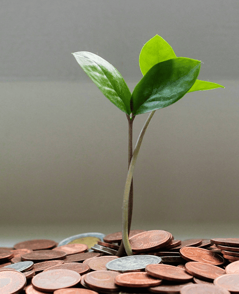 paid media marketing as growth engine for business by timc services